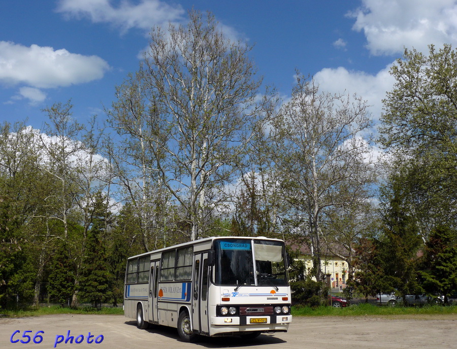 Ikarus 256.44 #CLY-142